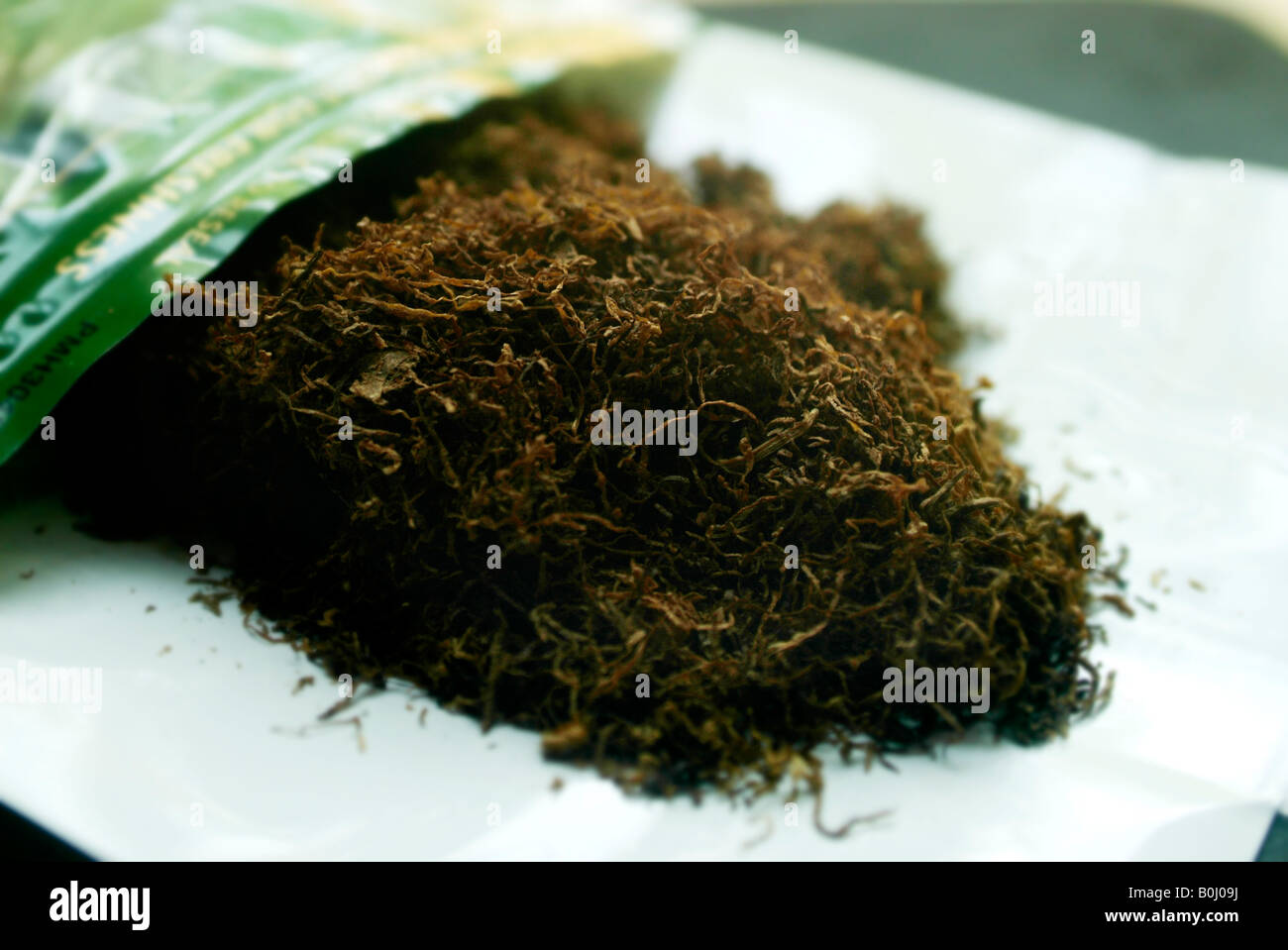 loose leaf tobacco for smoking in cigarettes Stock Photo