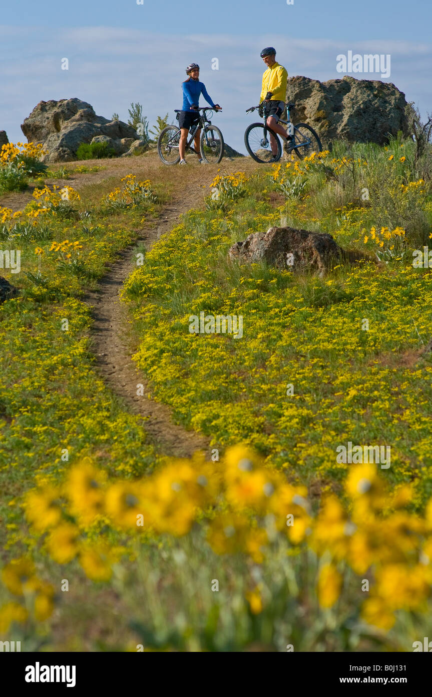 Idaho a couple mountain bikes in the foothills above Boise Idaho on a