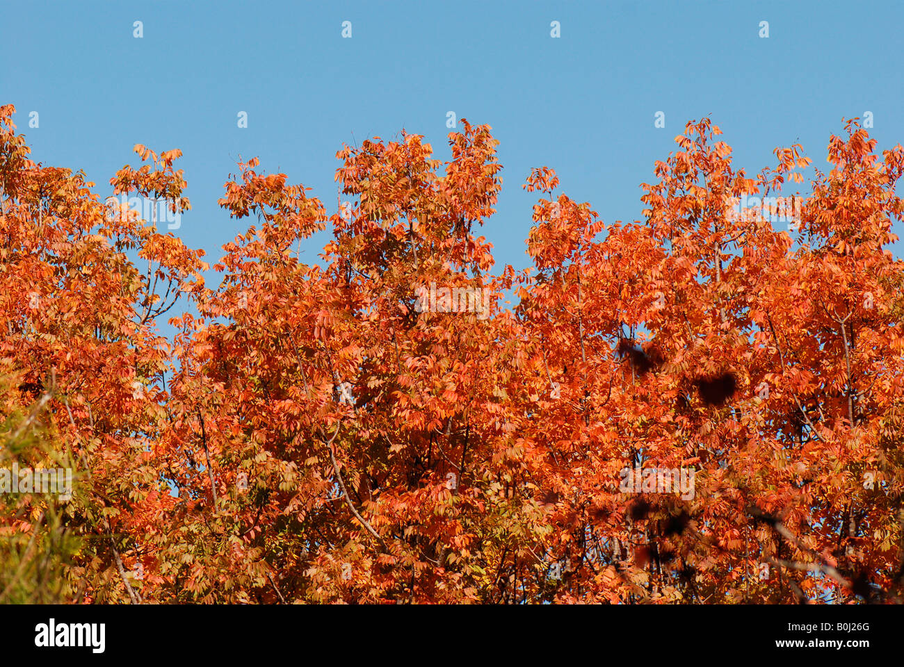 Blue orange red colours hi-res stock photography and images - Alamy