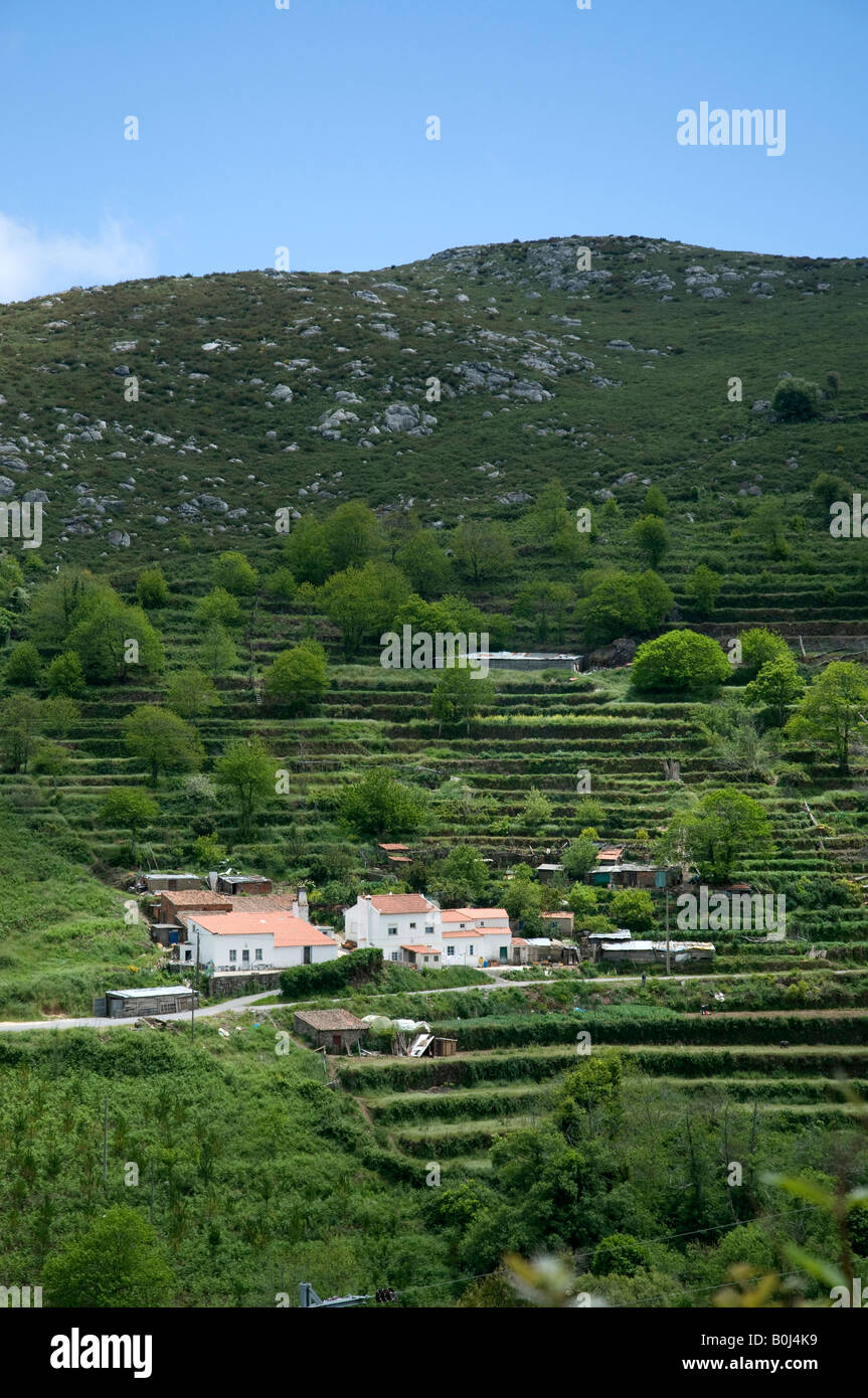 Algarve Hill Farm, with Terraced Fields, above Monchique, Algarve, Portugal Stock Photo