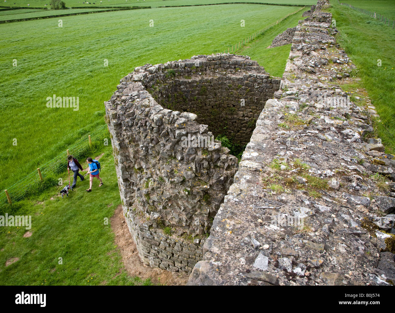 Two people walking dog alongside five sided tower in south wall of Roman town wall Caerwent Wales UK Stock Photo