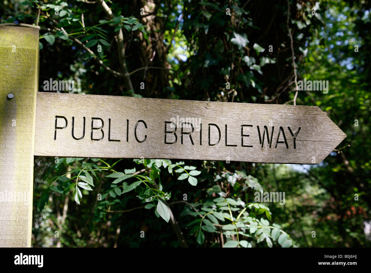 wooden public bridleway sign ewhurst surrey england uk Stock Photo