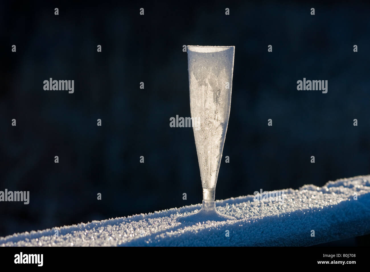 Frozen champagne glass after the New Year party Stock Photo Alamy