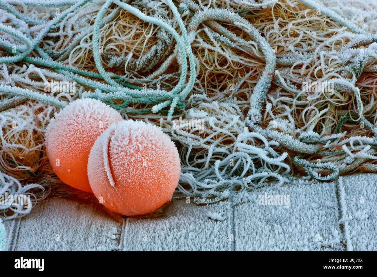Frozen fishing net and marker buoys on a fishing boat pier. West coast Norway. Stock Photo