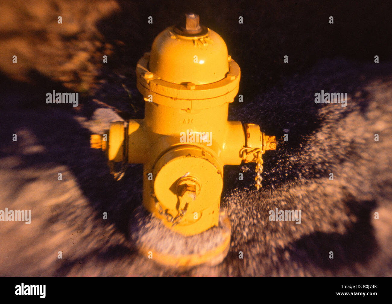 Bright yellow residential fire hydrant plug Stock Photo