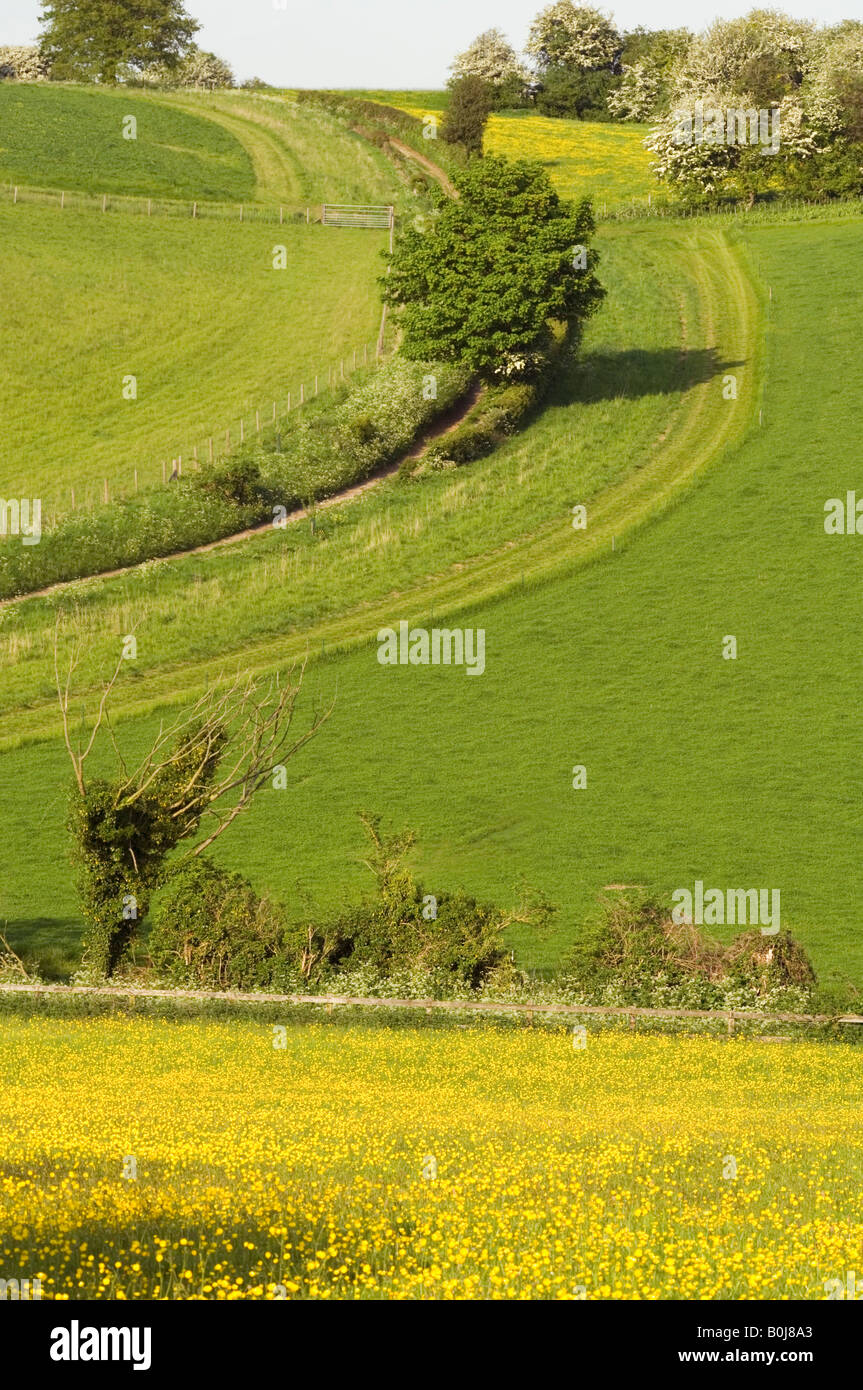 Uk abstract countryside hi-res stock photography and images - Alamy