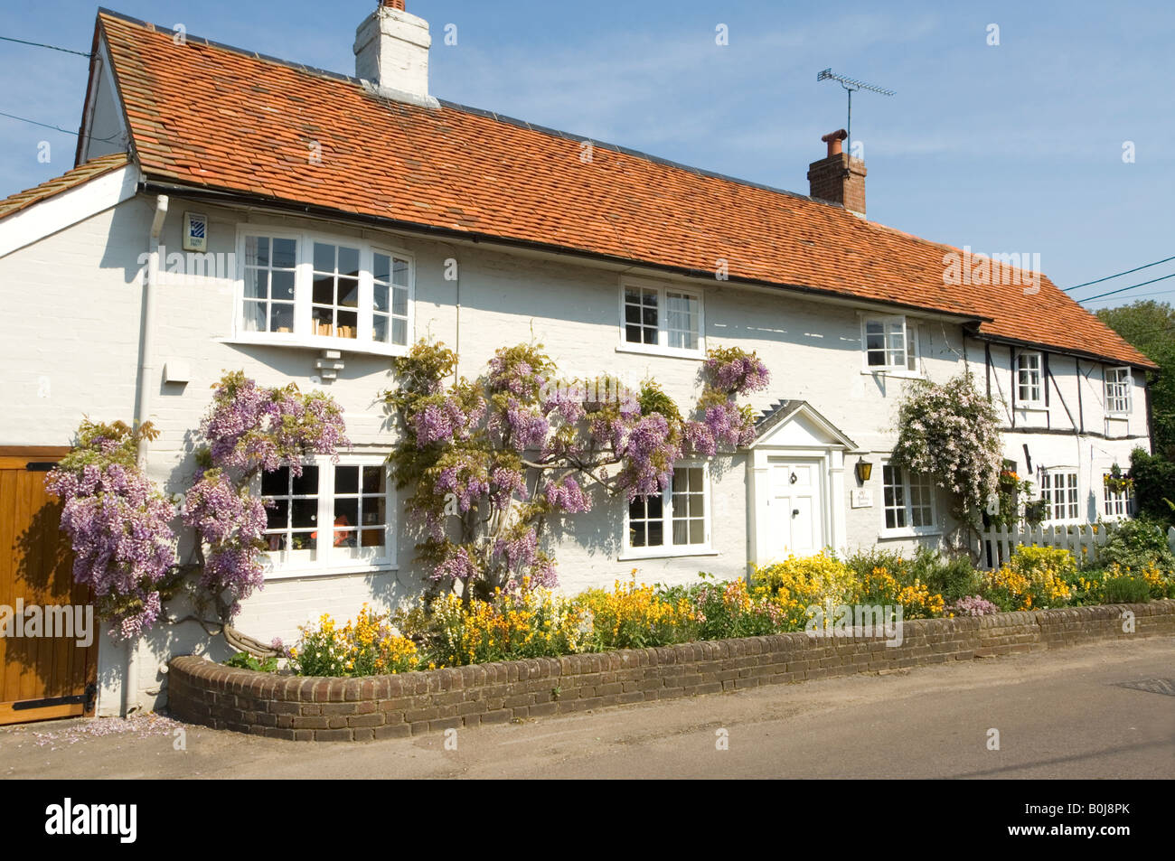 Cottage with Wisteria Crondall Surrey UK Stock Photo