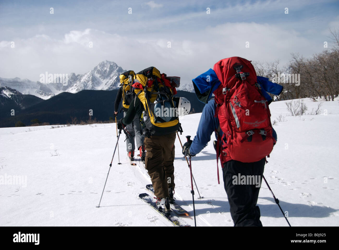 a group of backcountry skiers skin up to the mountains to ski, San Juan mountains, Colorado. Stock Photo