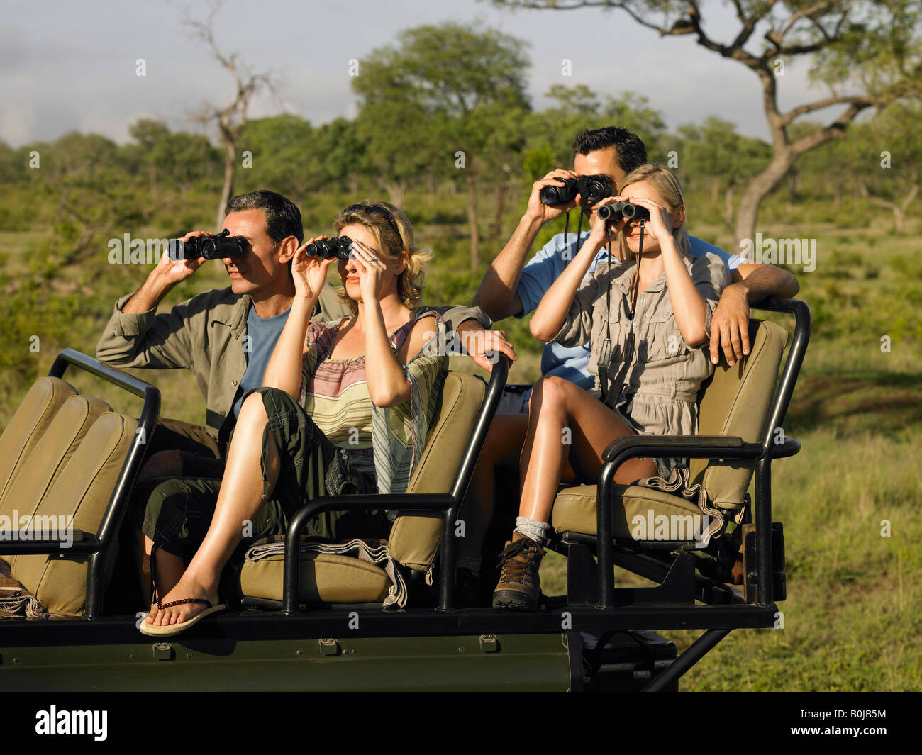 Group of tourists on safari, sitting in jeep, looking through binoculars  Stock Photo - Alamy
