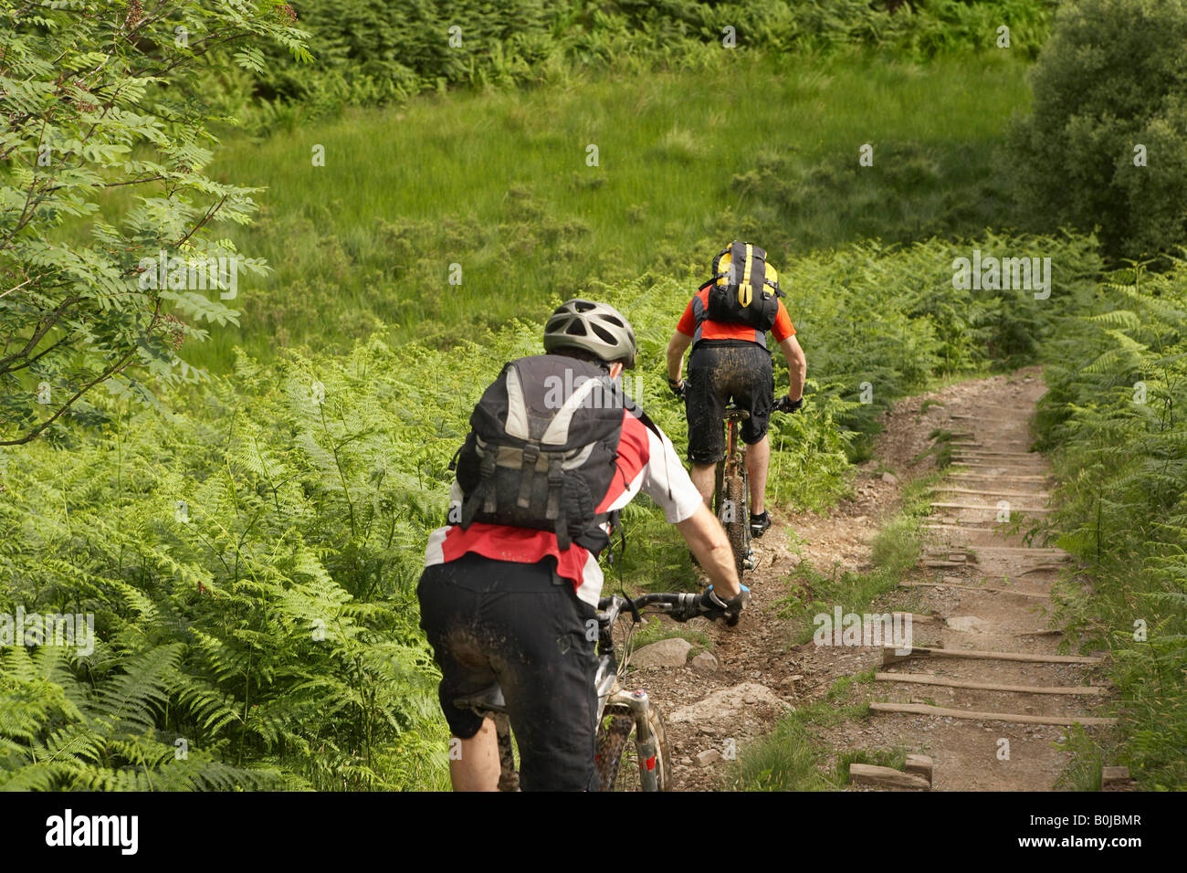 Two cyclists on track in countryside Stock Photo
