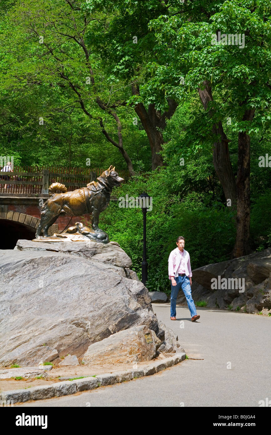 Balto Sculpture in Central Park Upper Manhattan New York City New York