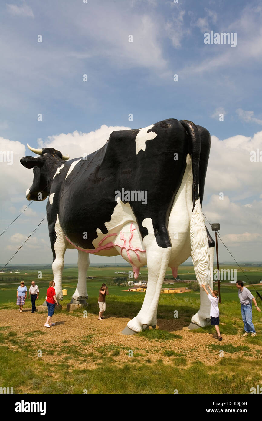 Biggest Cow In The World