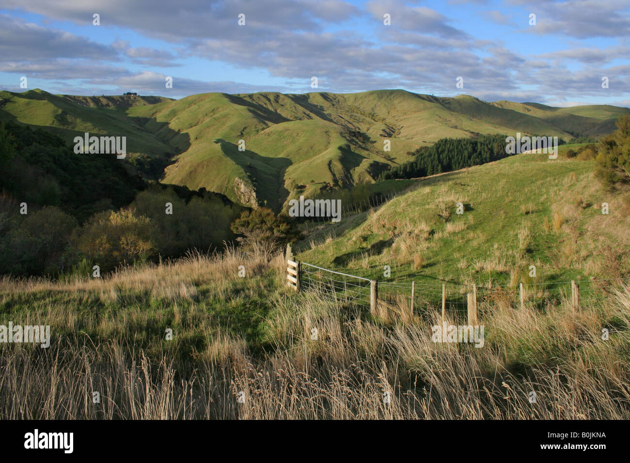 Hilly Rural Rural hill country landscape Stock Photo - Alamy
