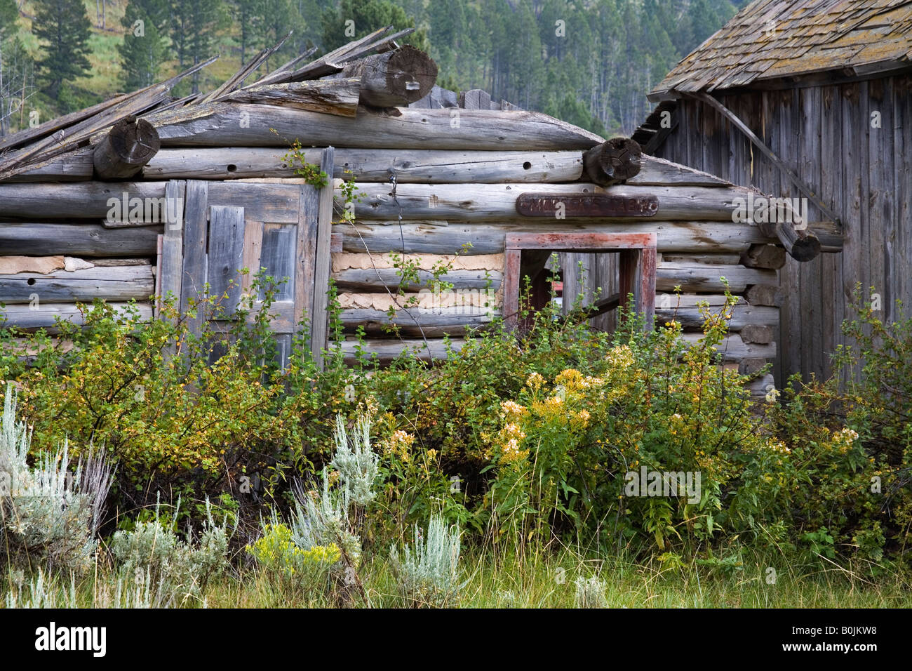 Elk Horn Ghost Town State Park Boulder Helena Region Montana USA Stock Photo Alamy