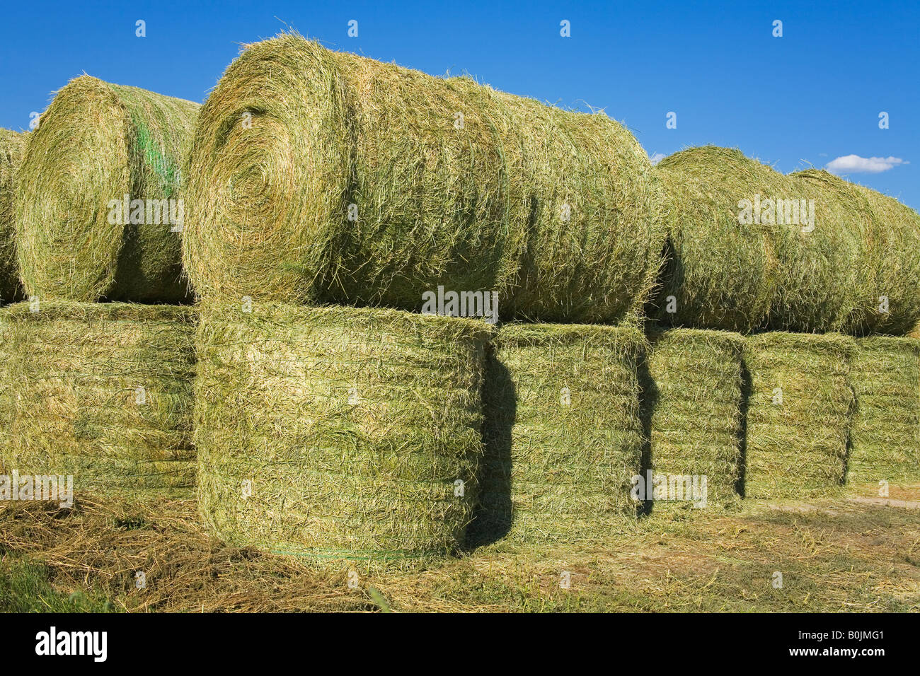 Hay bales near Twin Bridges Bozeman region Montana USA Stock Photo Alamy
