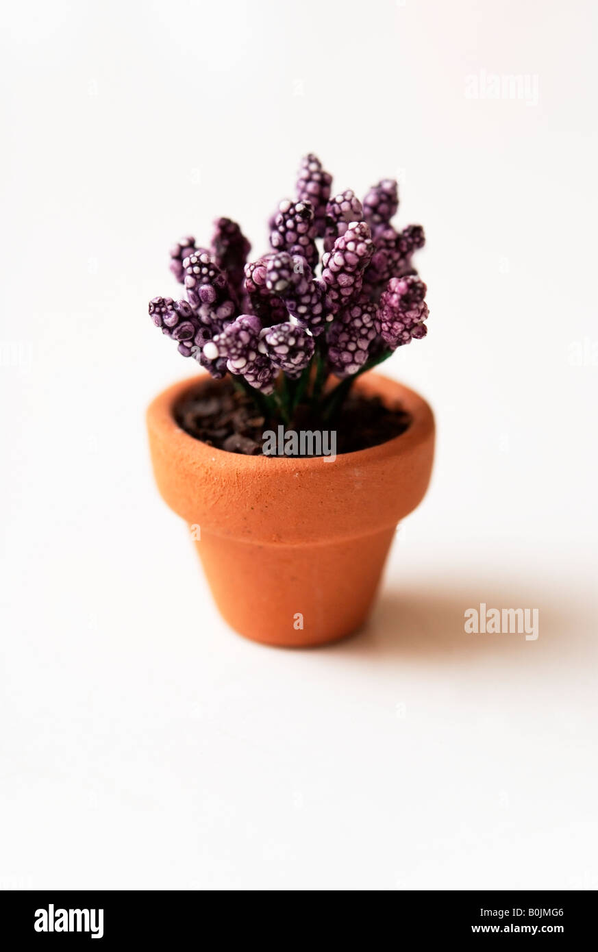 Miniature pot of flowers Stock Photo