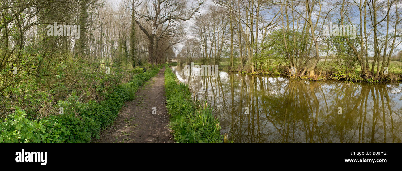 The banks of a river with bushes and trees Stock Photo - Alamy