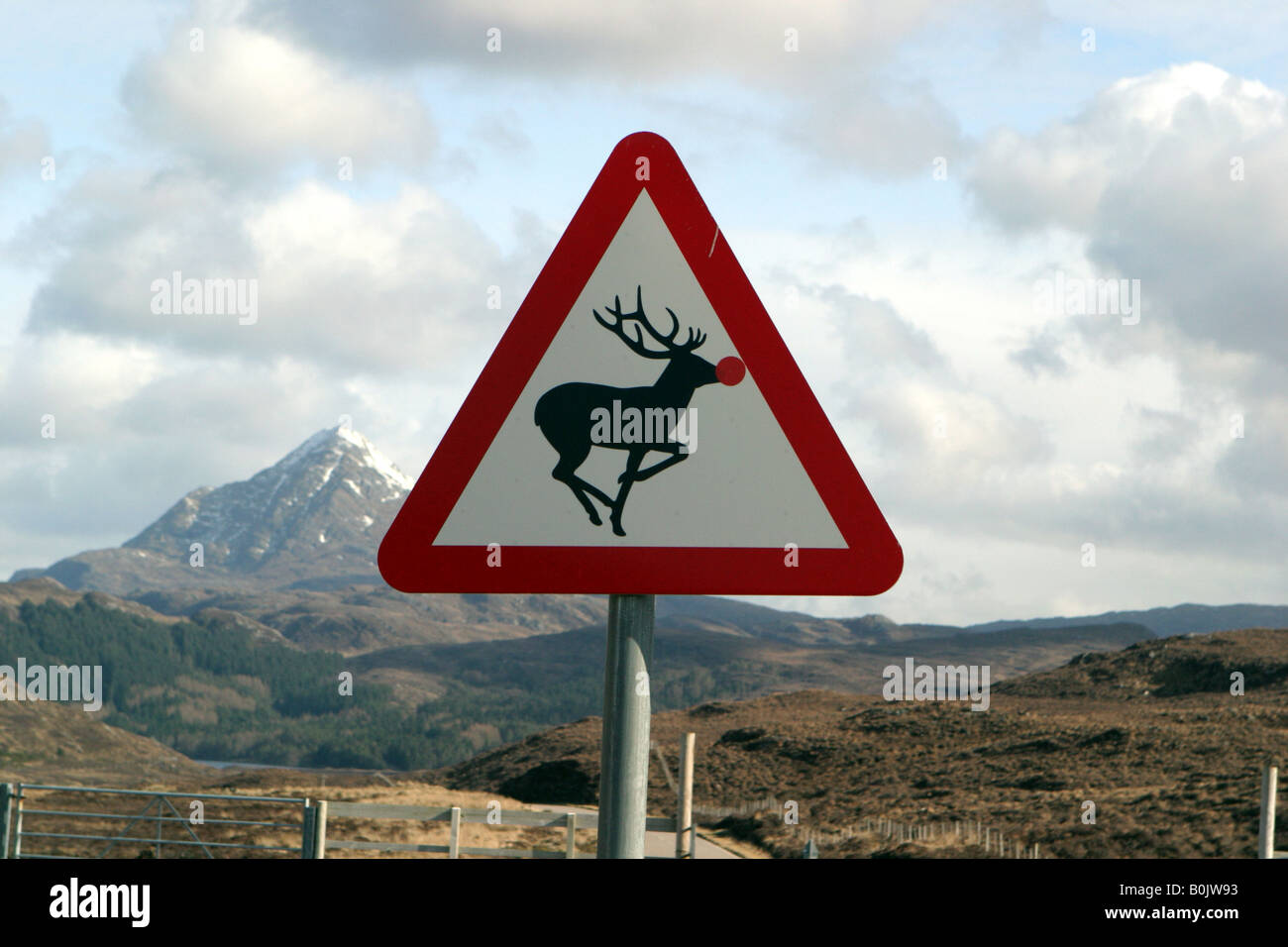 Red triangle sign warning of deer on the roads Stock Photo