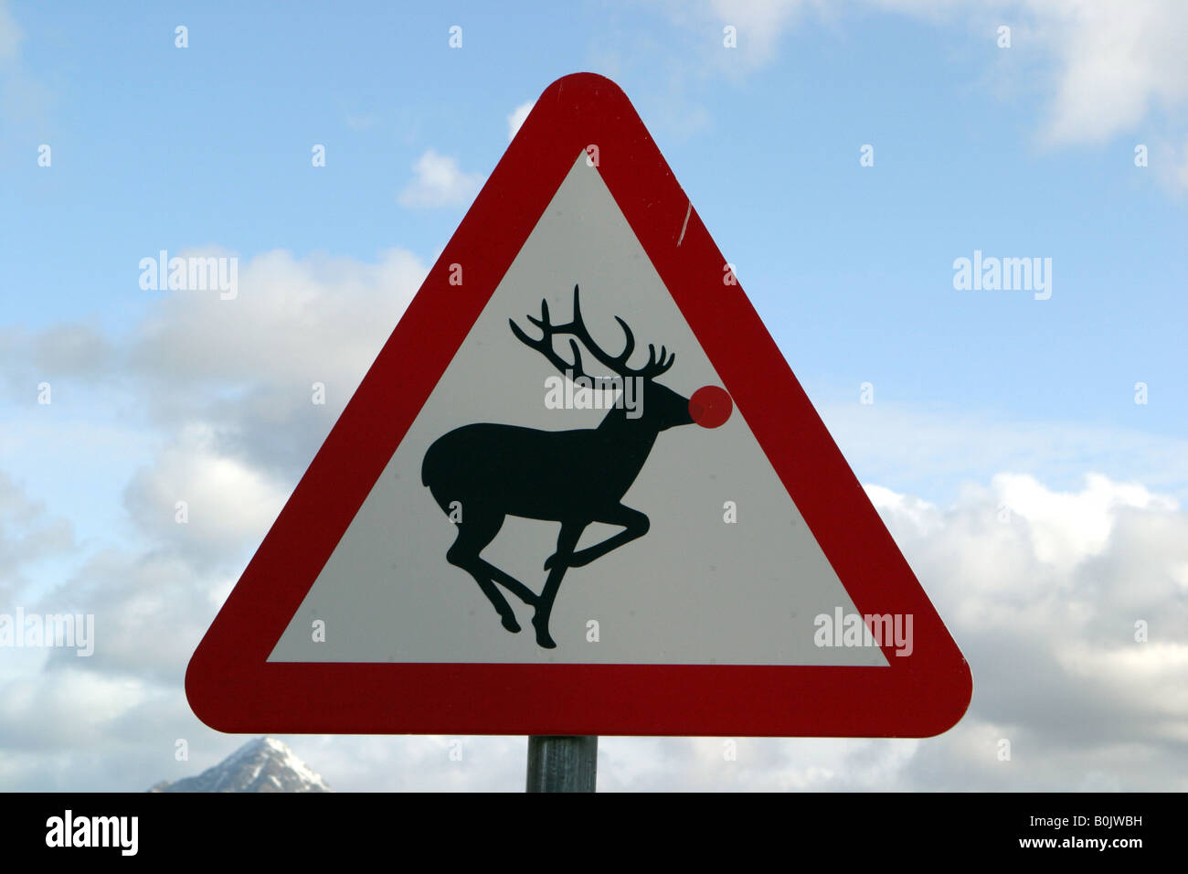 Warning road sign for deer Stock Photo Alamy