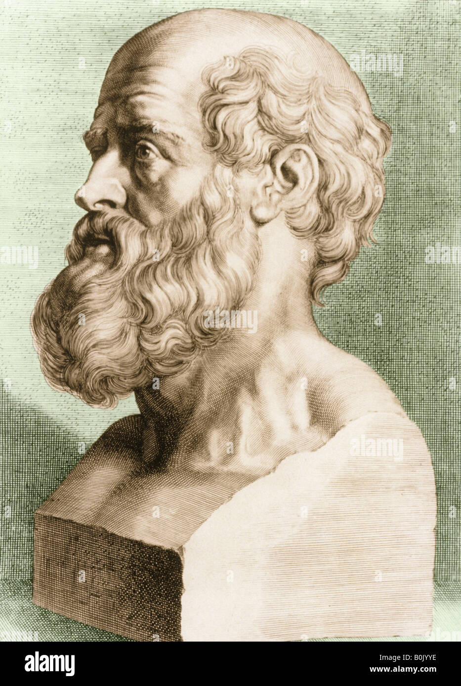 Bust of Hippocrates Greek physician Stock Photo
