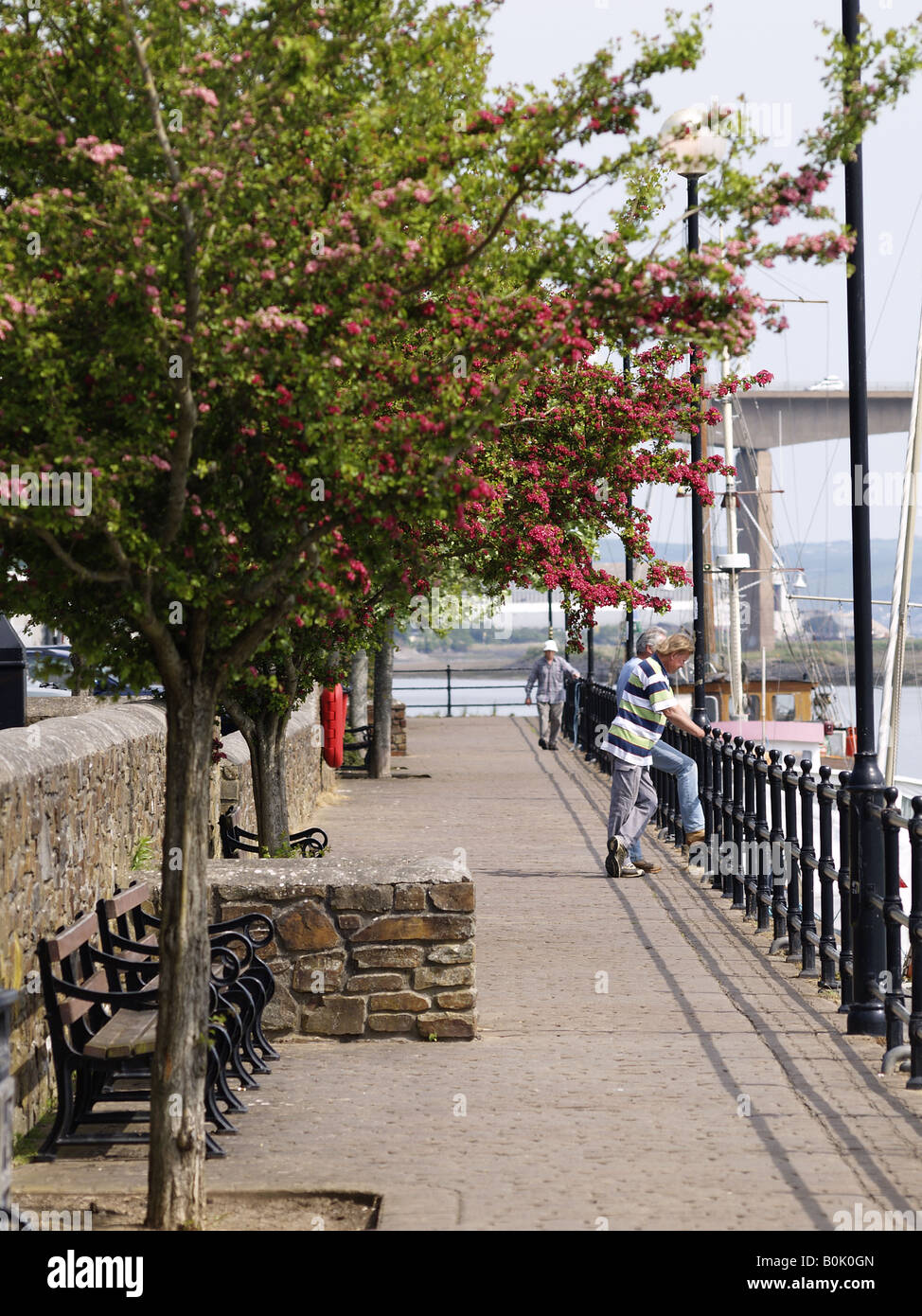 Devon pathway hi-res stock photography and images - Alamy