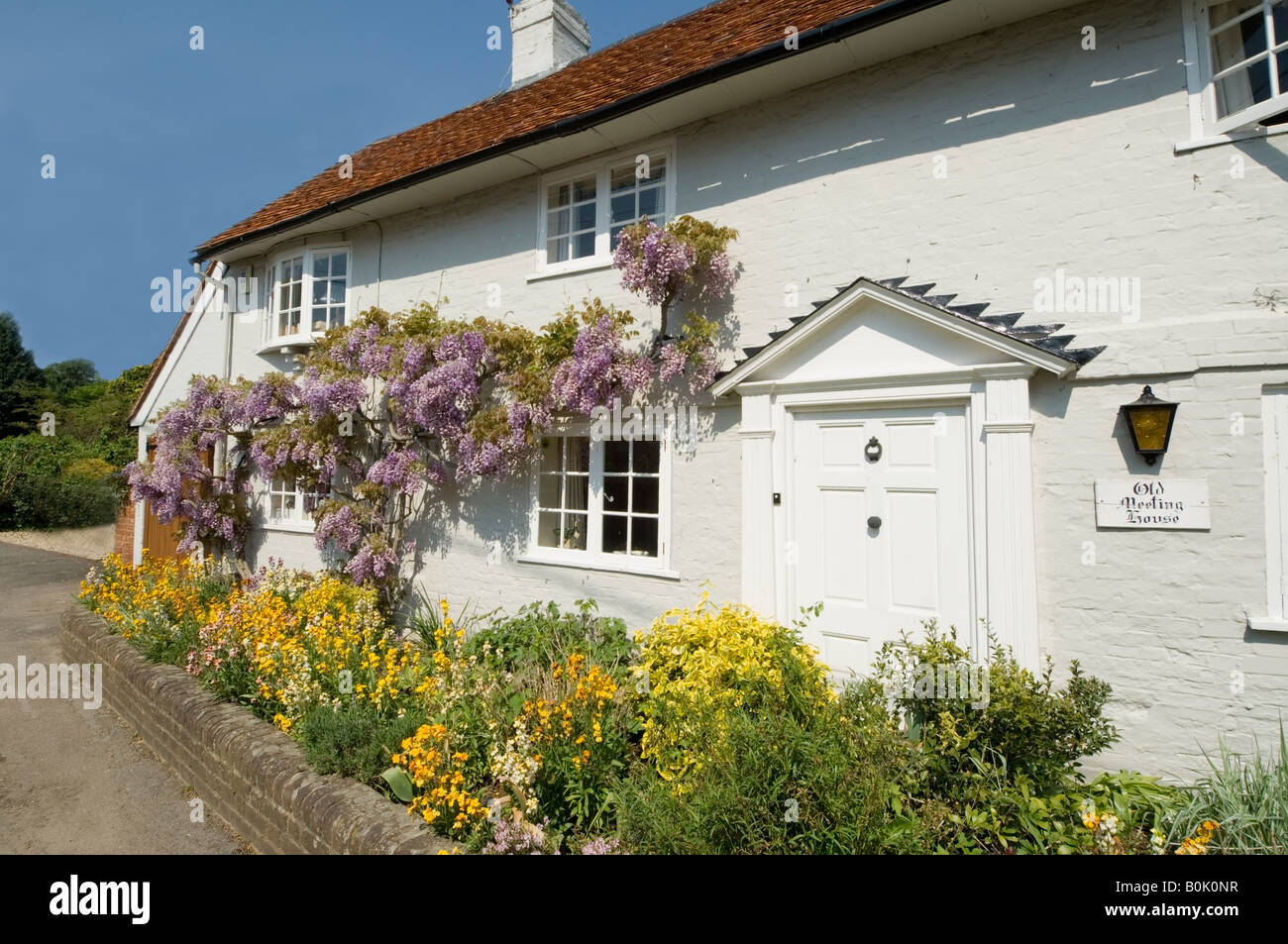 Whitewashed Cottage with Wisteria Crondall Surrey UK Stock Photo