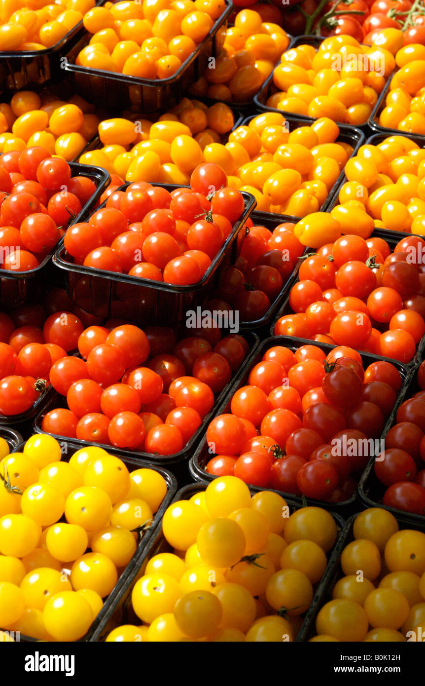 Rows of red and yellow tomatoes on sale at a local farmers market Stock ...