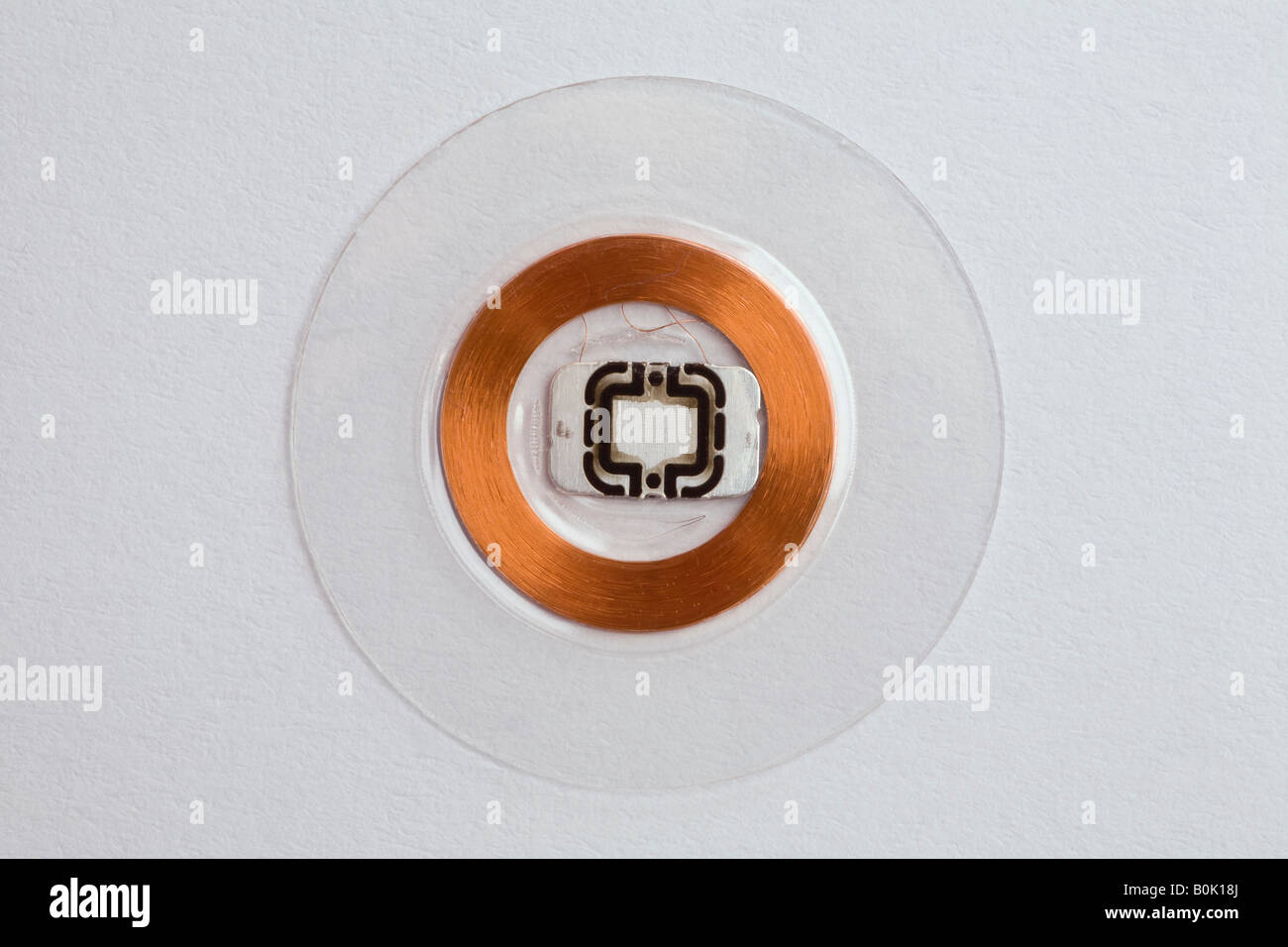 A RFID microchip photographed in the studio on a white background. Puce RFID photographiée en studio sur fond blanc. Stock Photo