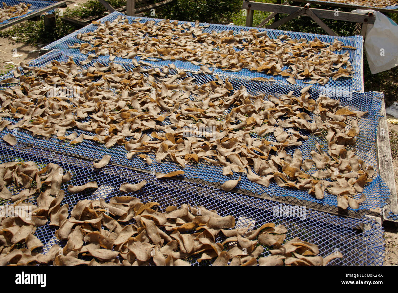Dried Fish Cottage Industry Stock Photos Dried Fish Cottage
