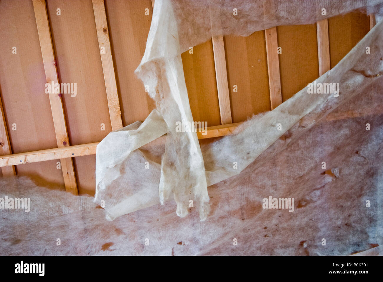Torn box hires stock photography and images Alamy