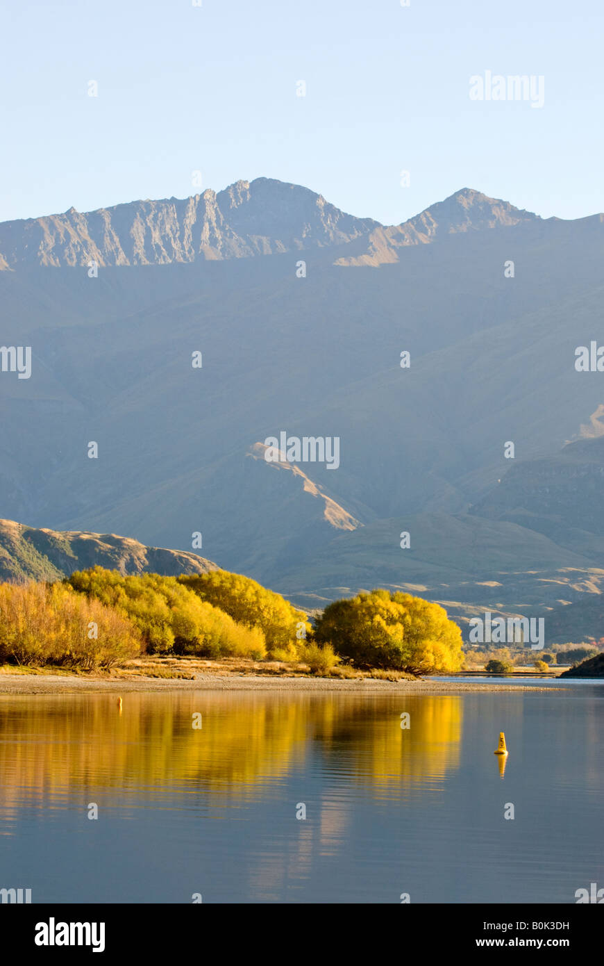 Autumn trees on the shores of Lake Wanaka at Glendhu Bay Stock Photo