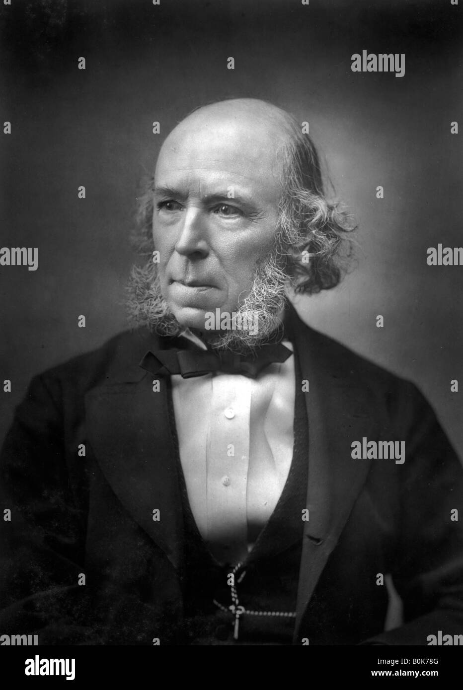 Herbert spencer hires stock photography and images Alamy