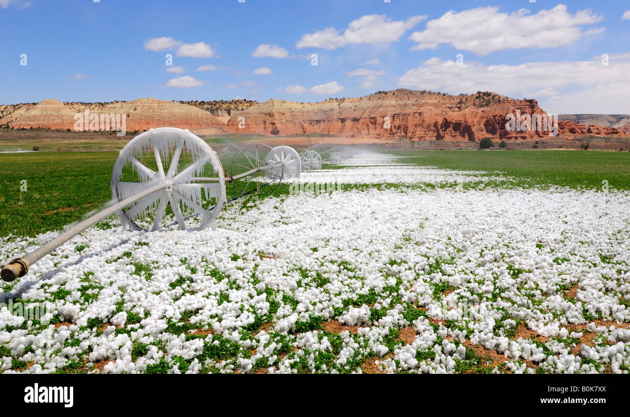 Frozen irrigation system in a field just outside of Canonville, Utah - near to the entrance to Kodachrome Basin State Park. Stock Photo