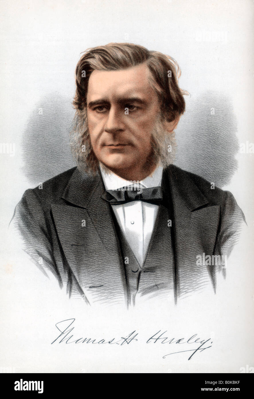 Thomas Henry Huxley, English biologist, c1890.Artist Cassell, Petter & Galpin Stock Photo Alamy