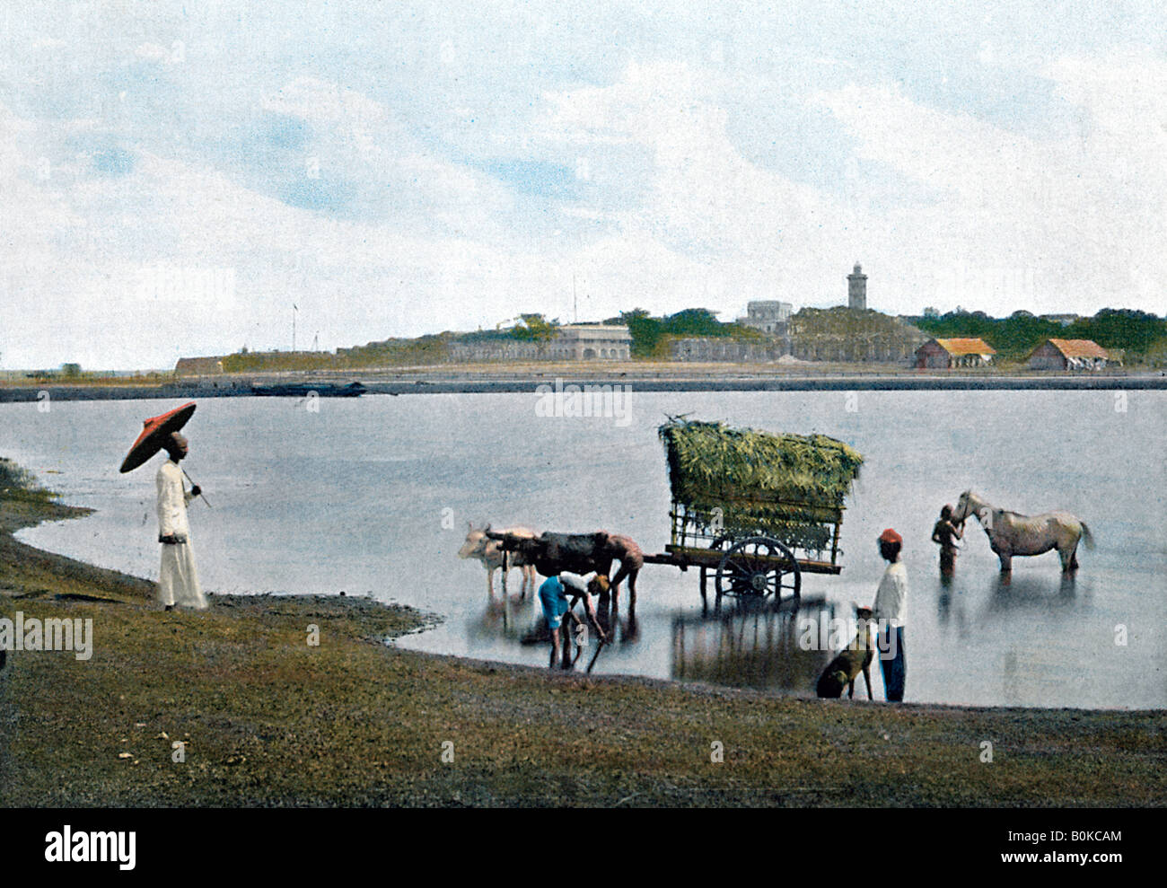 Colombo, Ceylon, c1890. Artist: Gillot Stock Photo