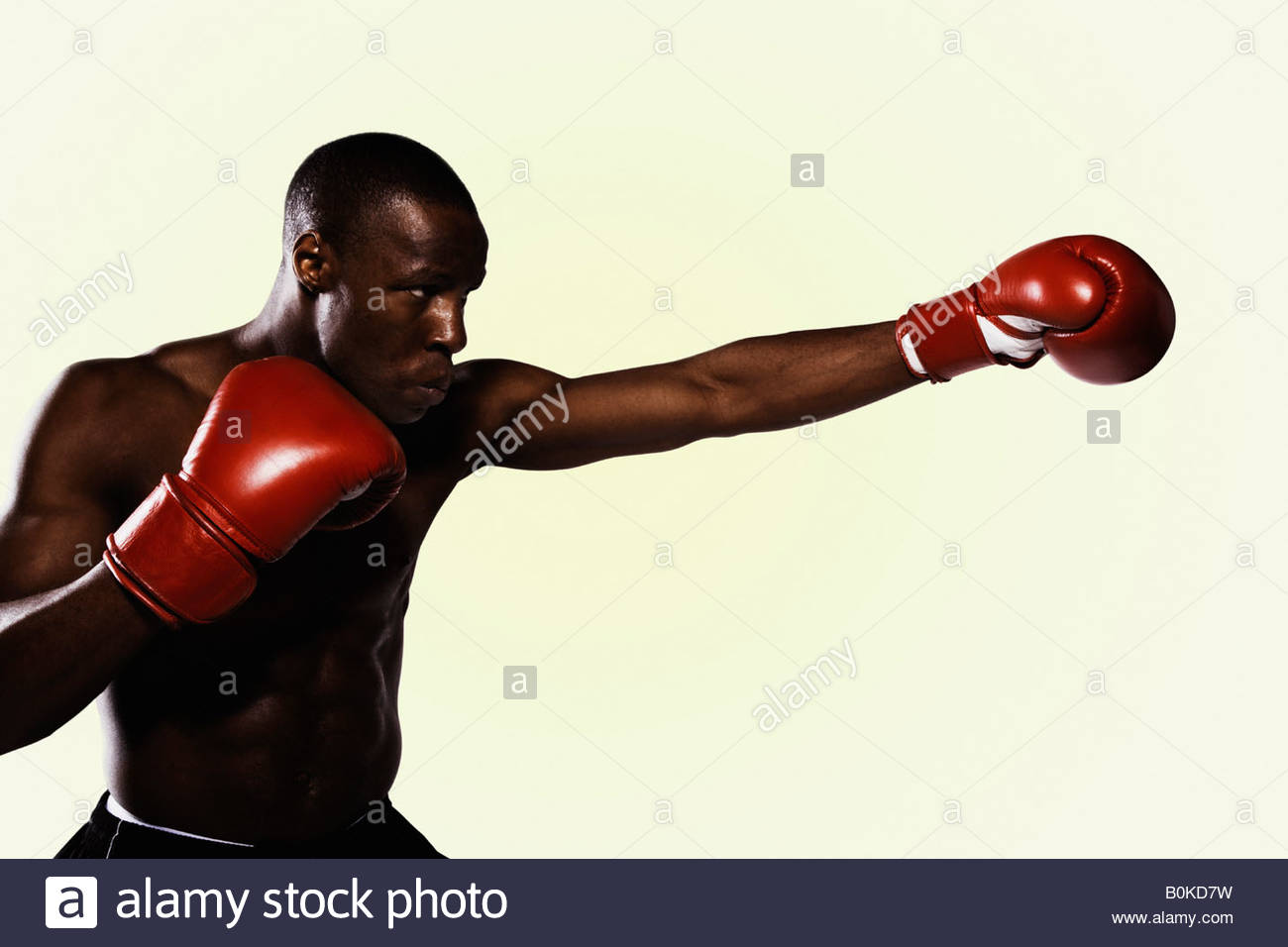 Boxer With Gloves Stock Photos & Boxer With Gloves Stock Images Alamy