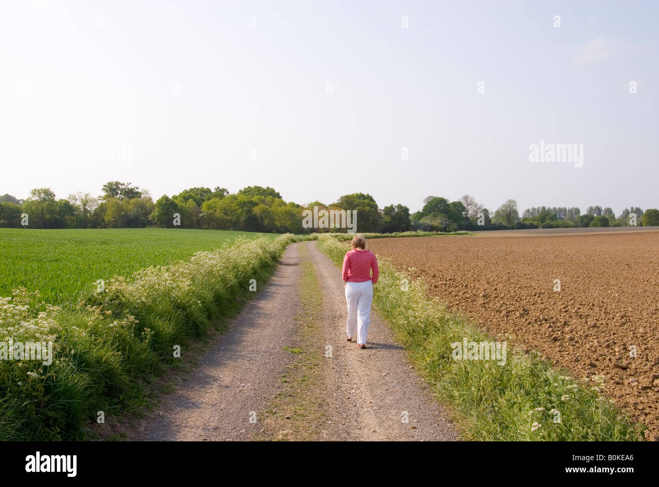 Woman Walking Alone Along A Country Track Stock Photo - Alamy