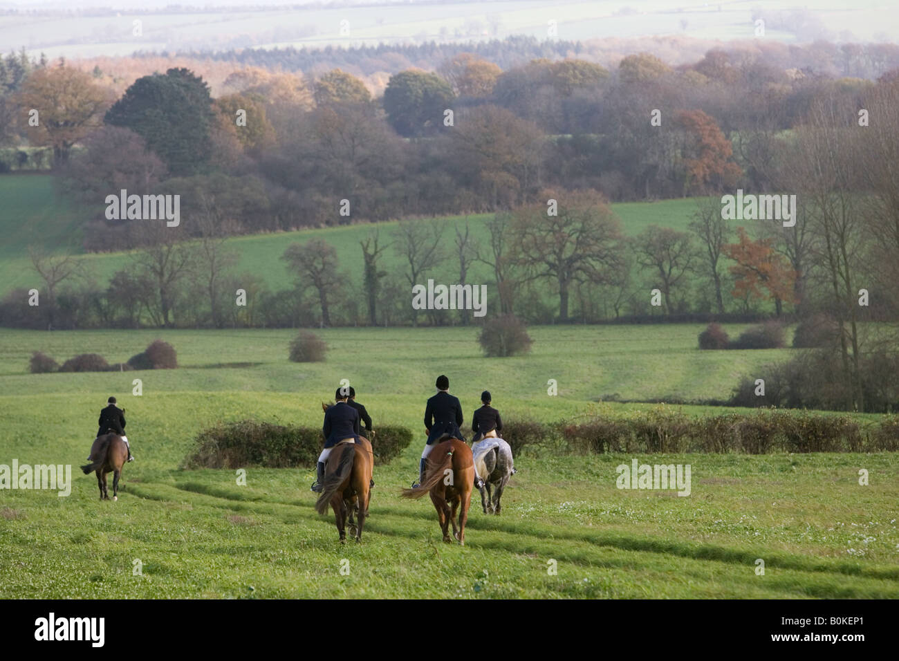 Members of Heythrop Hunt in fields on rolling hillside at Westcote The Cotswolds Oxfordshire UK Stock Photo