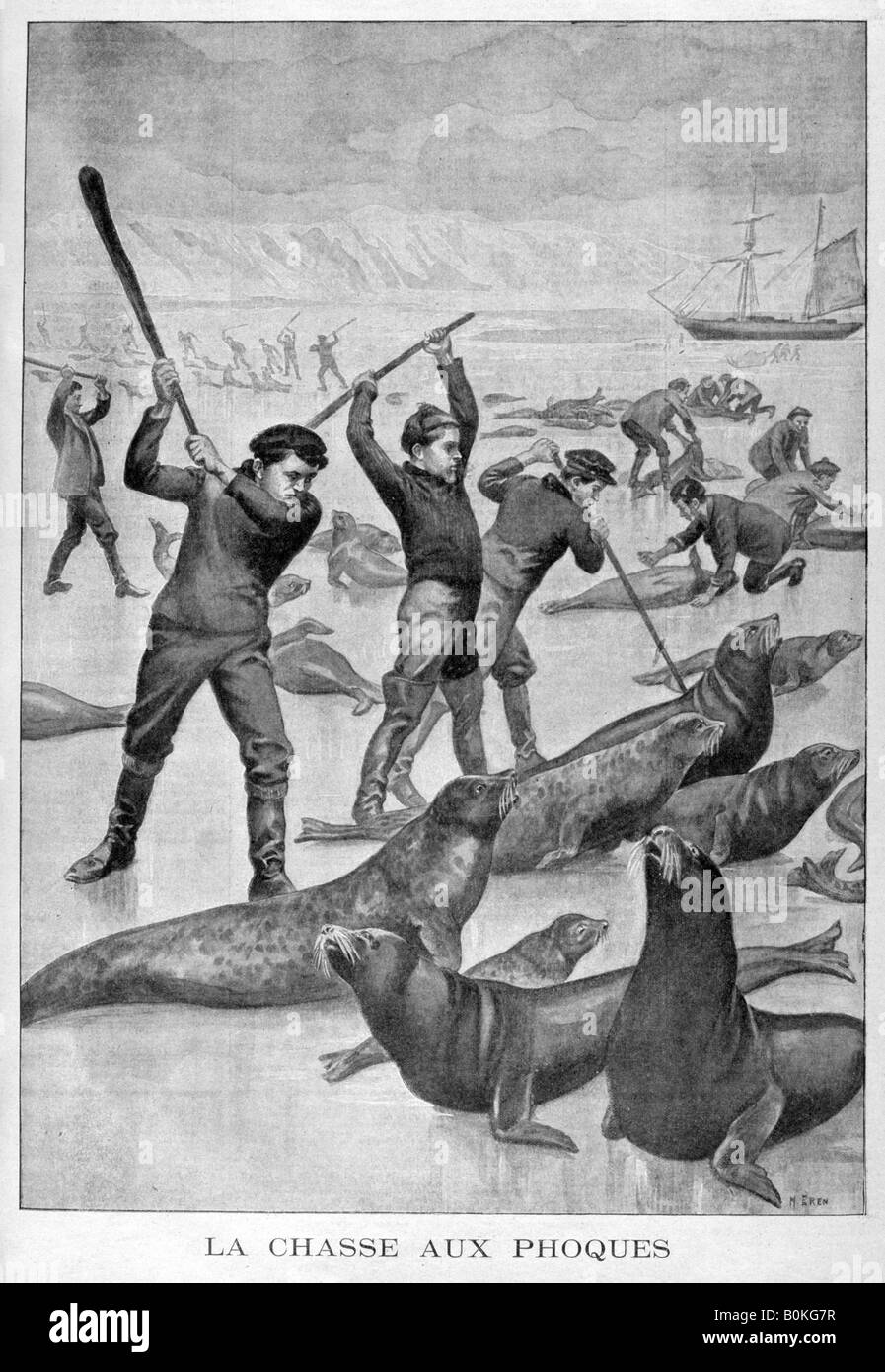 Seal hunting, Newfoundland, 1902. Artist: Unknown Stock Photo