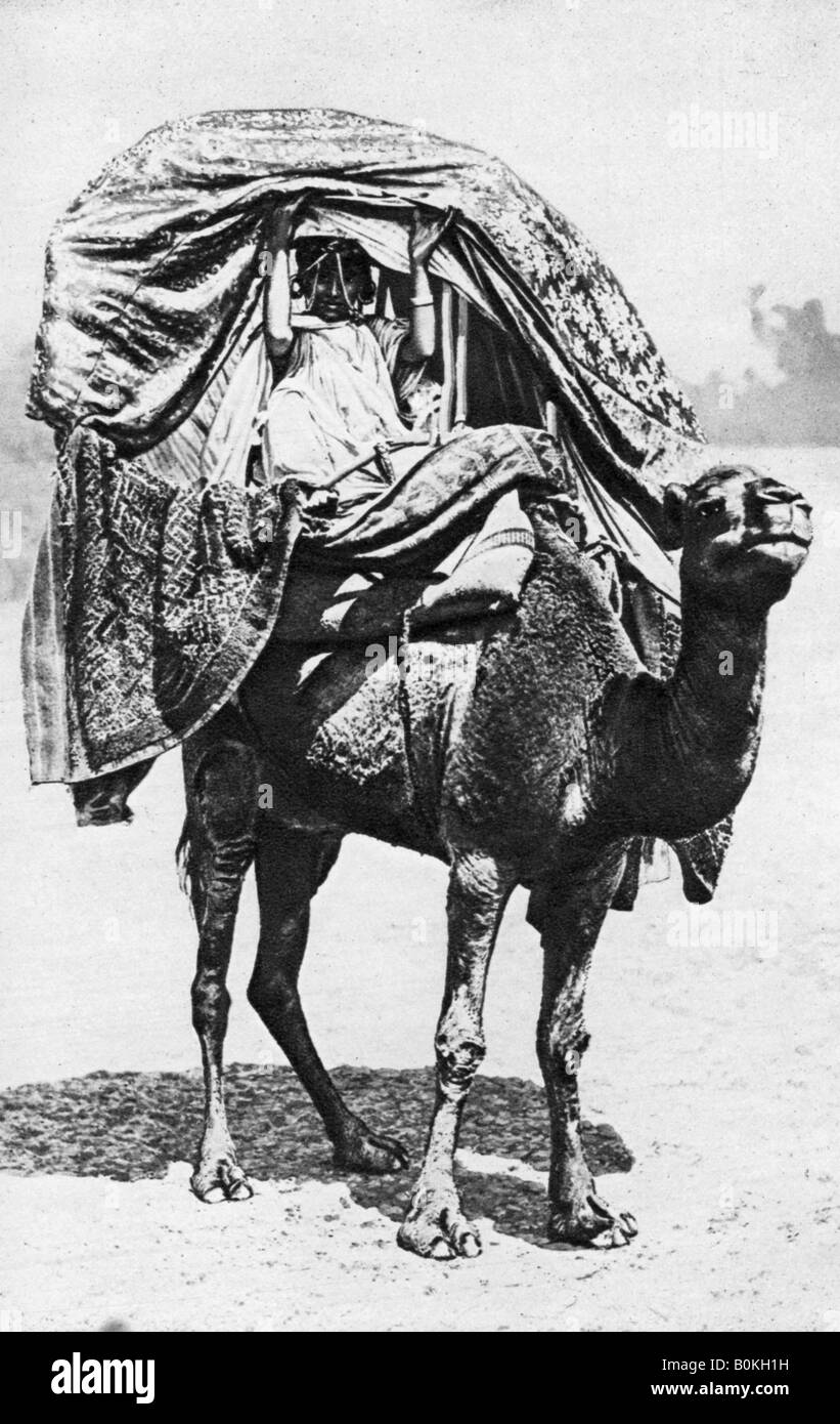 Girl riding a camel hi-res stock photography and images - Alamy