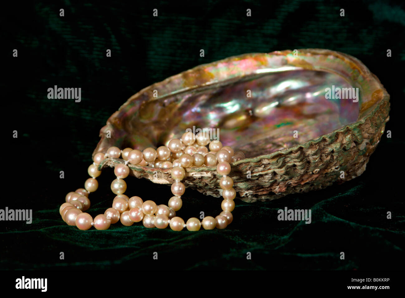 Pearls in a mother-of-pearl shell. Stock Photo
