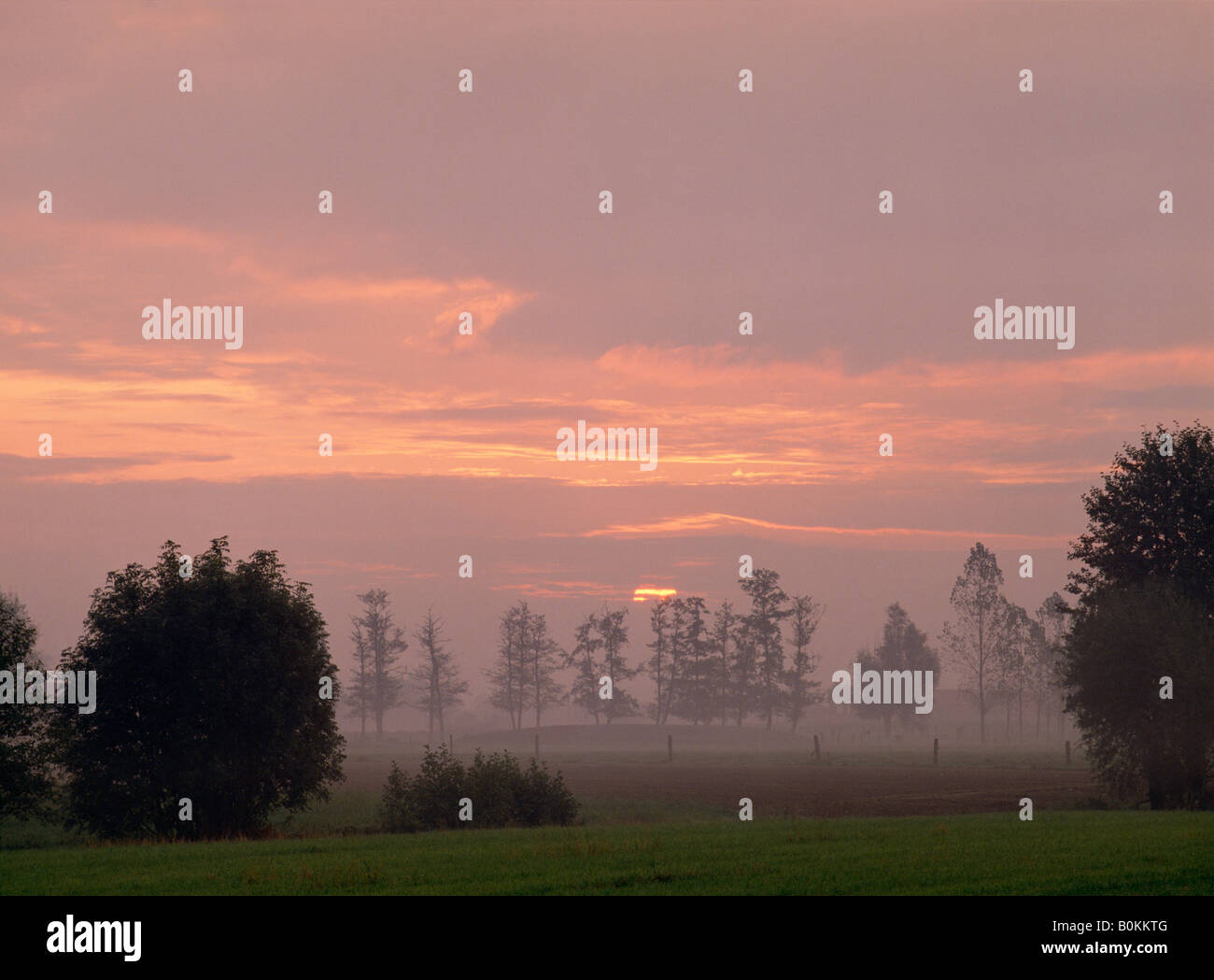 Misty landscape sunrise trees hi-res stock photography and images - Alamy