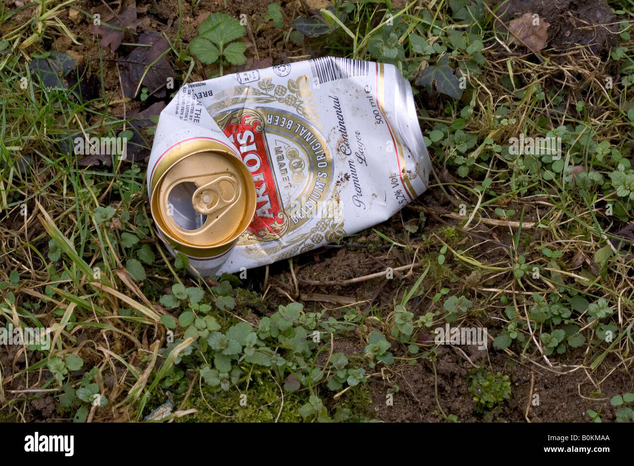 Discarded Stella Artois beer can Oxfordshire The Cotswolds United Kingdom Stock Photo