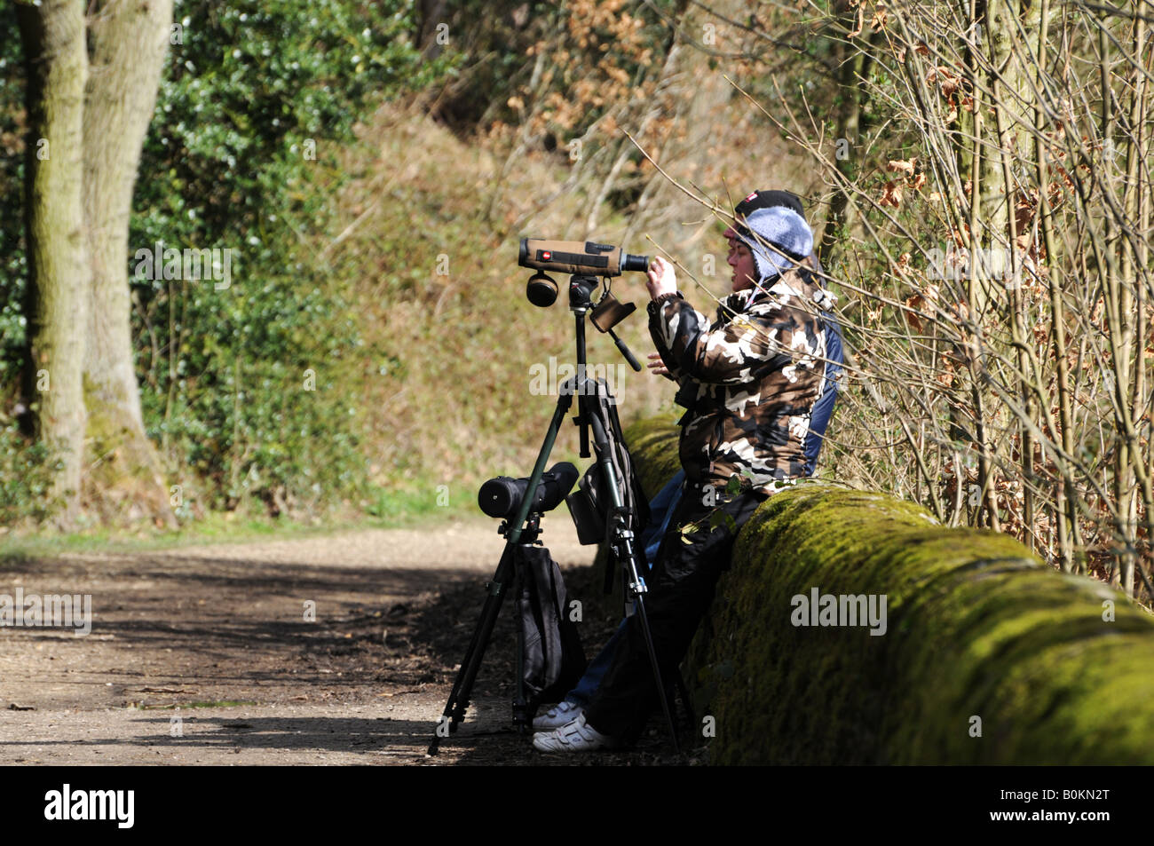 Bird watchers in woods Derbyshire England UK Stock Photo Alamy