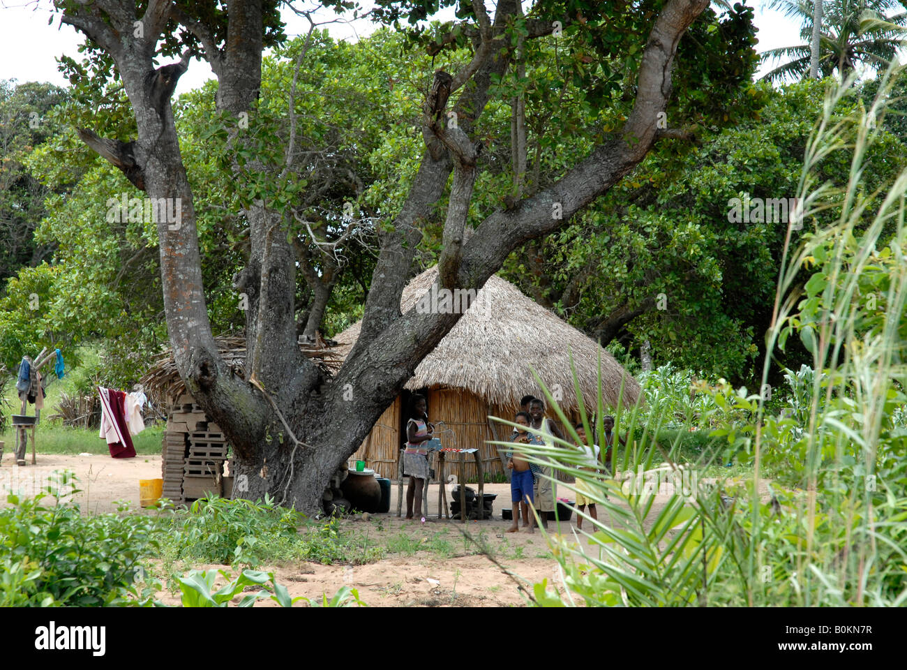 A traditional hut in Mozambique Stock Photo Alamy