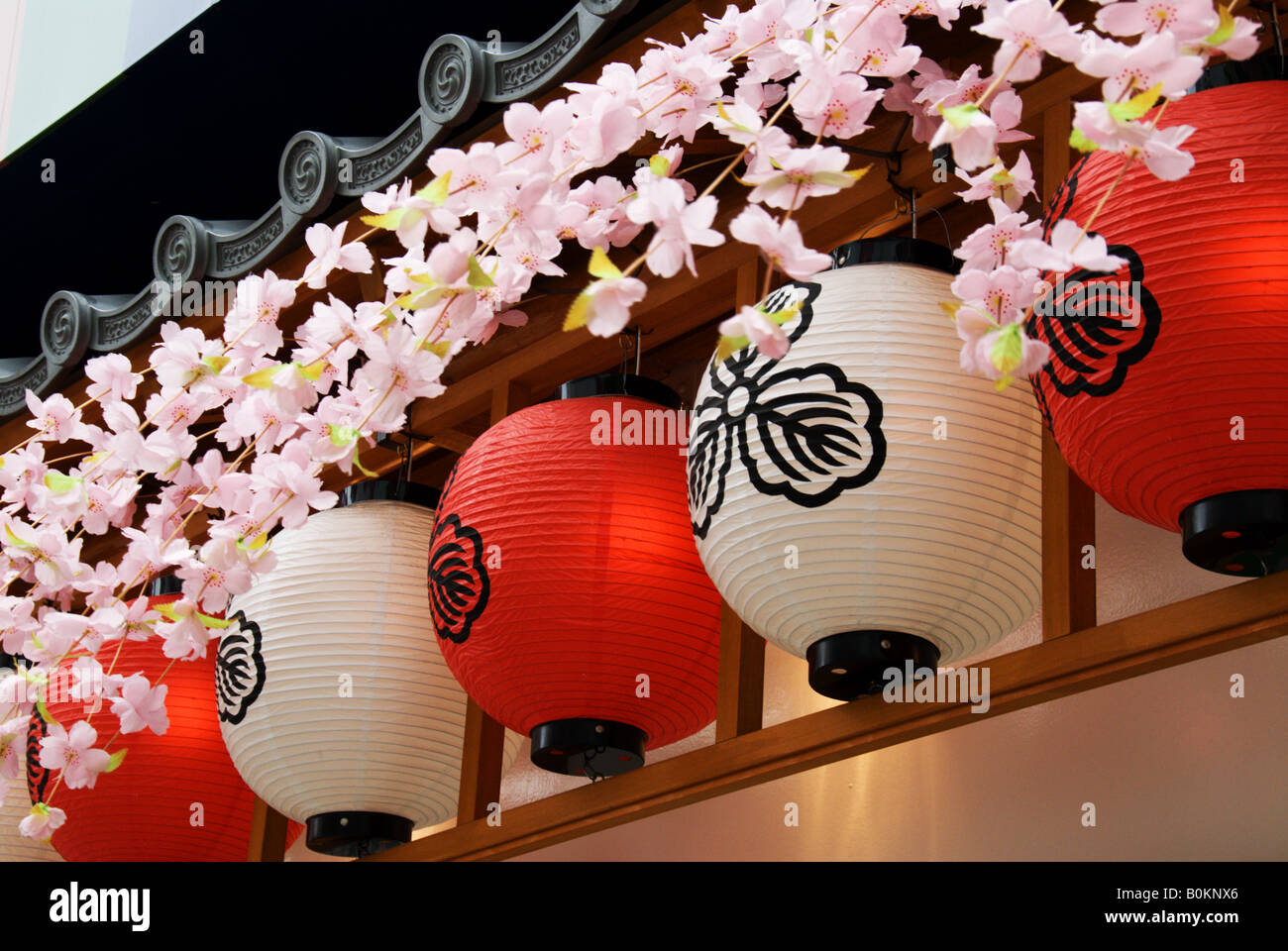 Red and white lanterns indicating a restaurant or bar in the Asakusa region of Tokyo are decorated  plastic cherry blossoms. Stock Photo