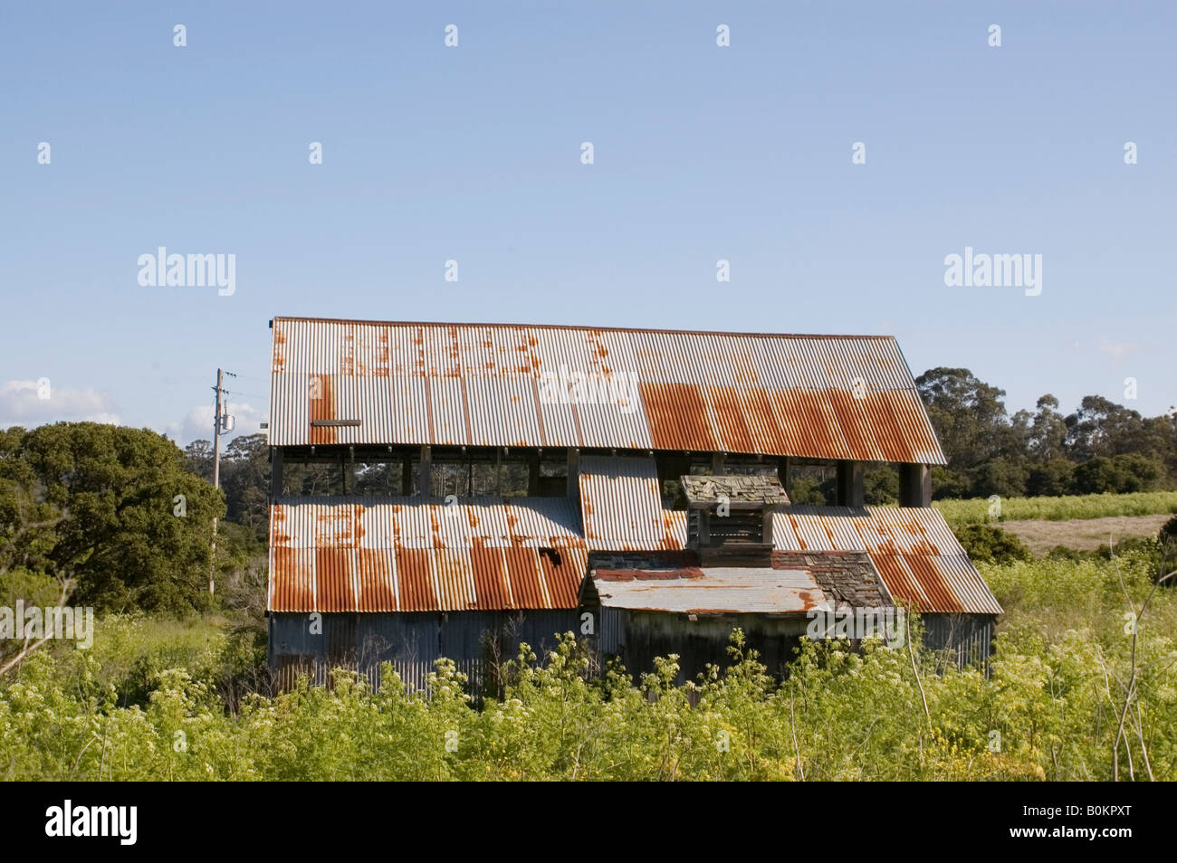 Tin Barn in Field Stock Photo Alamy