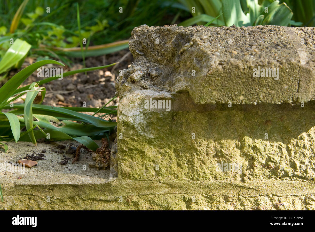 A damaged ^garden wall, UK Stock Photo Alamy