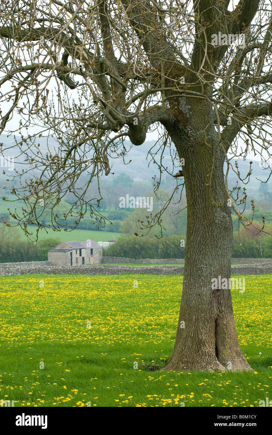 Derbyshire Countryside Stock Photo