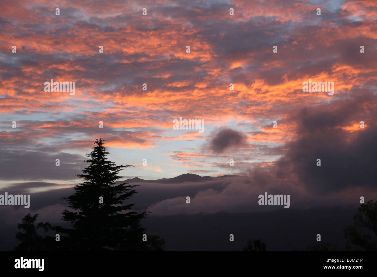 Sunrise above Lake Tekapo South Island New Zealand Stock Photo - Alamy